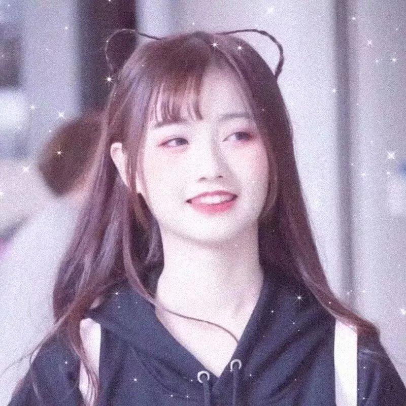 狗也爱钻石