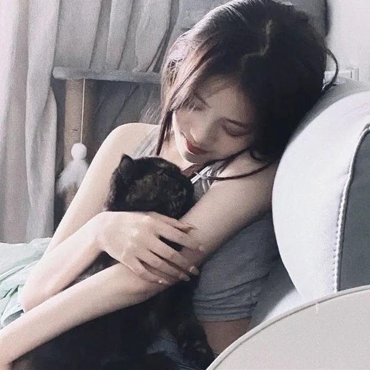 精灵宝可梦破坏之茧与蒂安希